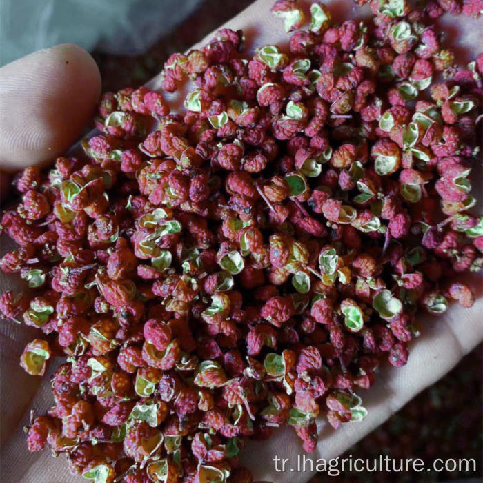 Kuru biber biber baharat sichuan baharat